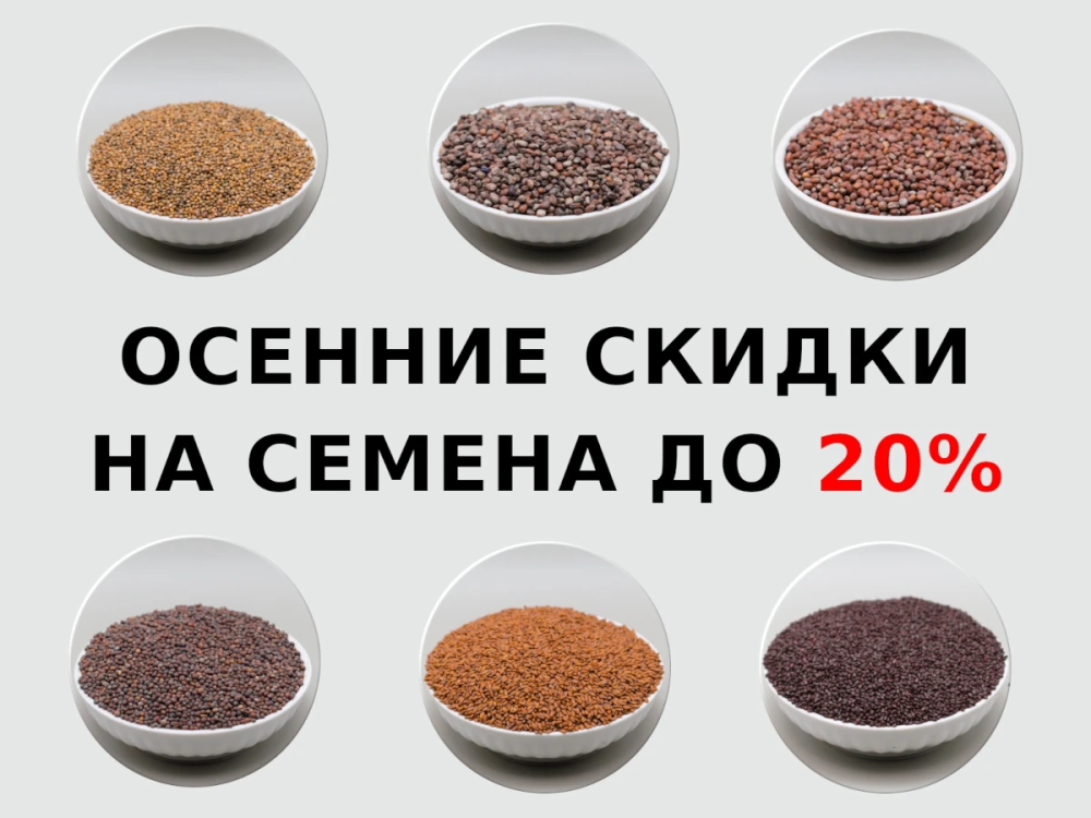 Осенняя распродажа семян микрозелени